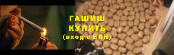 мяу мяу мука Иннополис