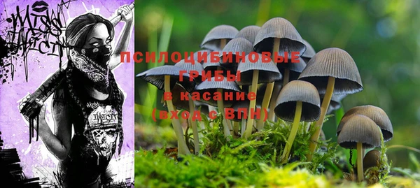 мяу мяу мука Иннополис