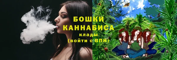 мдпв Зеленодольск